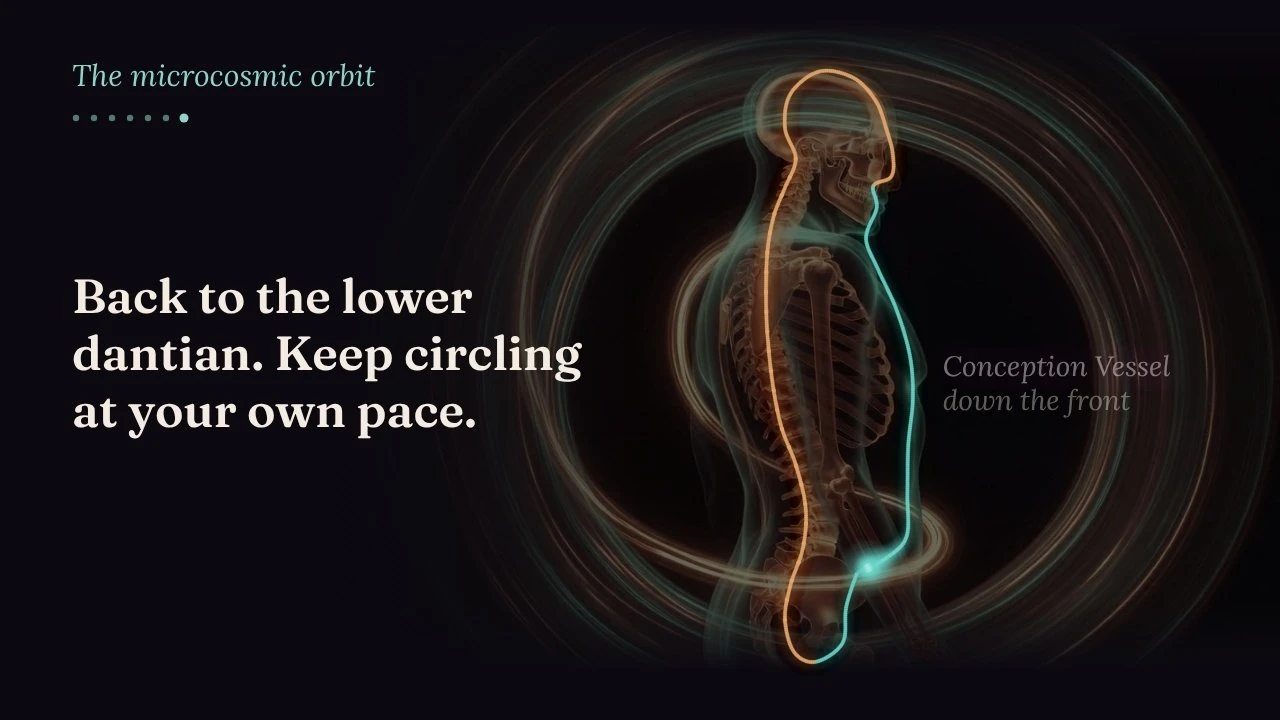 Animation: the microcosmic orbit, step by step