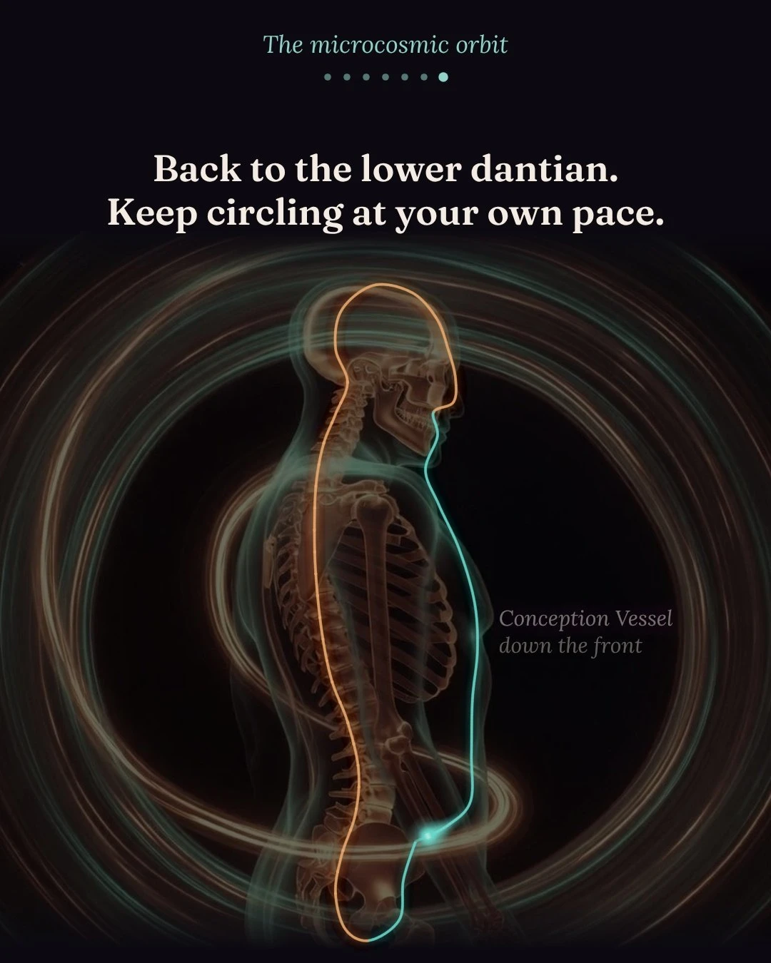 Animation: the microcosmic orbit, step by step
